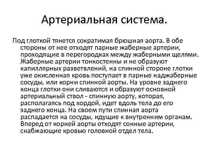 Артериальная система. Под глоткой тянется сократимая брюшная аорта. В обе стороны от нее отходят