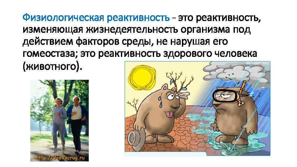 Физиологическая реактивность - это реактивность, изменяющая жизнедеятельность организма под действием факторов среды, не нарушая