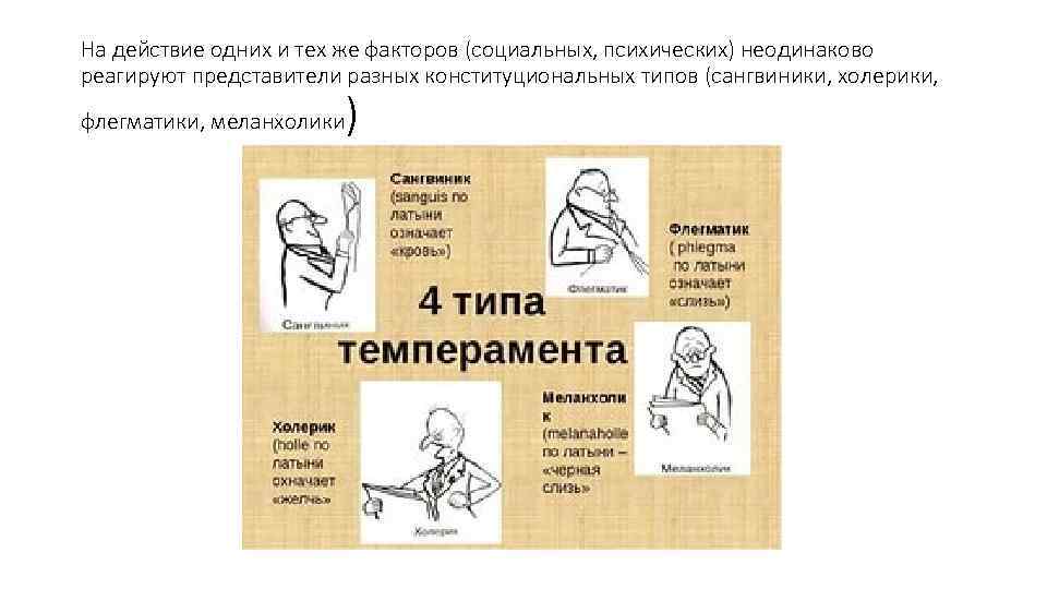 На действие одних и тех же факторов (социальных, психических) неодинаково реагируют представители разных конституциональных