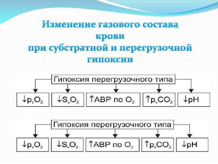 Изменение газового состава крови при субстратной и перегрузочной гипоксии 