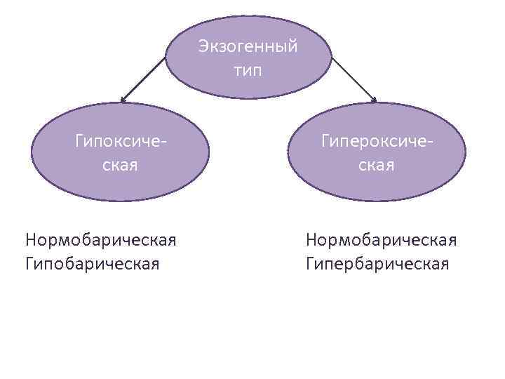 Экзогенный тип Гипоксическая Нормобарическая Гипероксическая Нормобарическая Гипербарическая 