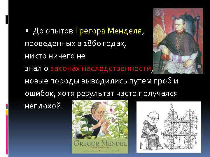  До опытов Грегора Менделя, проведенных в 1860 годах, никто ничего не знал о