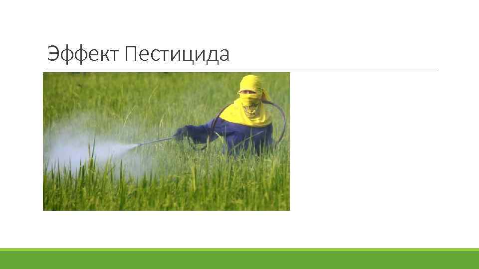 Эффект Пестицида 