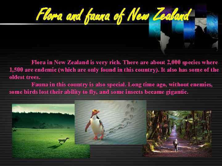 Flora and fauna of New Zealand Flora in New Zealand is very rich. There