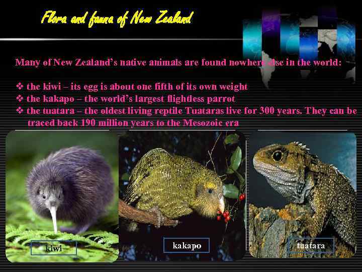 Flora and fauna of New Zealand Many of New Zealand’s native animals are found