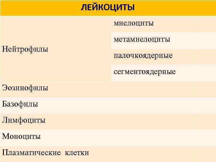 ЛЕЙКОЦИТЫ миелоциты метамиелоциты Нейтрофилы палочкоядерные сегментоядерные Эозинофилы Базофилы Лимфоциты Моноциты Плазматические клетки 