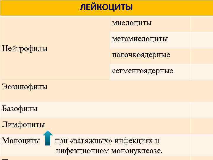 ЛЕЙКОЦИТЫ миелоциты метамиелоциты Нейтрофилы палочкоядерные сегментоядерные Эозинофилы Базофилы Лимфоциты Моноциты при «затяжных» инфекциях и