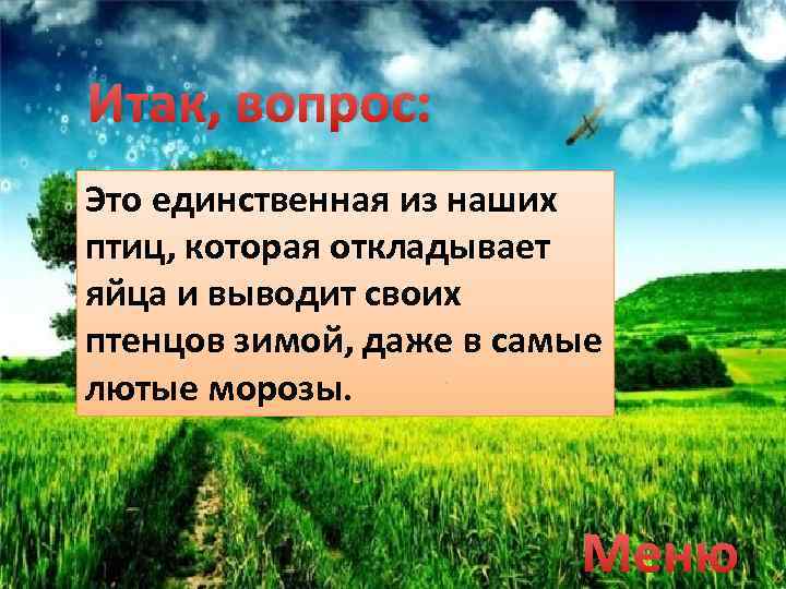 Итак, вопрос: Это единственная из наших птиц, которая откладывает яйца и выводит своих птенцов