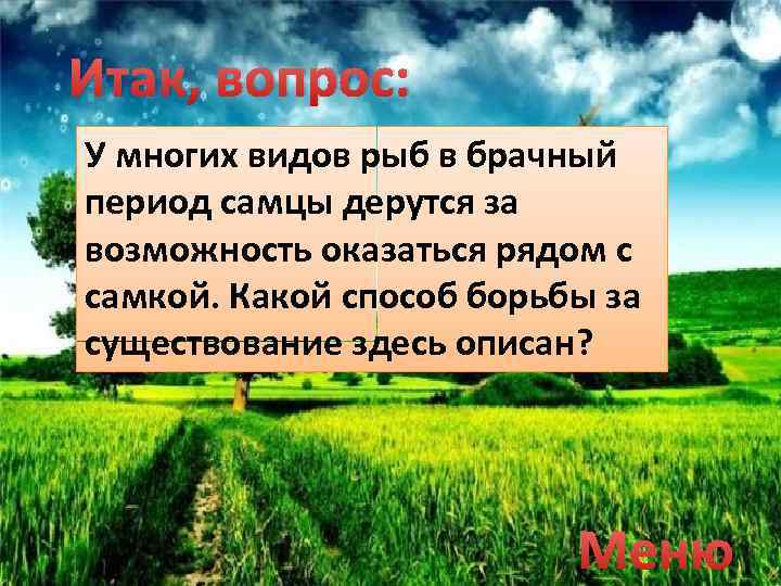 Итак, вопрос: У многих видов рыб в брачный период самцы дерутся за возможность оказаться