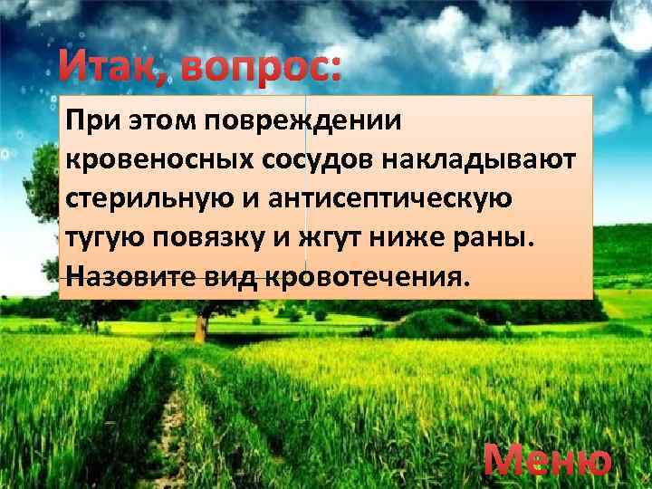 Итак, вопрос: При этом повреждении кровеносных сосудов накладывают стерильную и антисептическую тугую повязку и