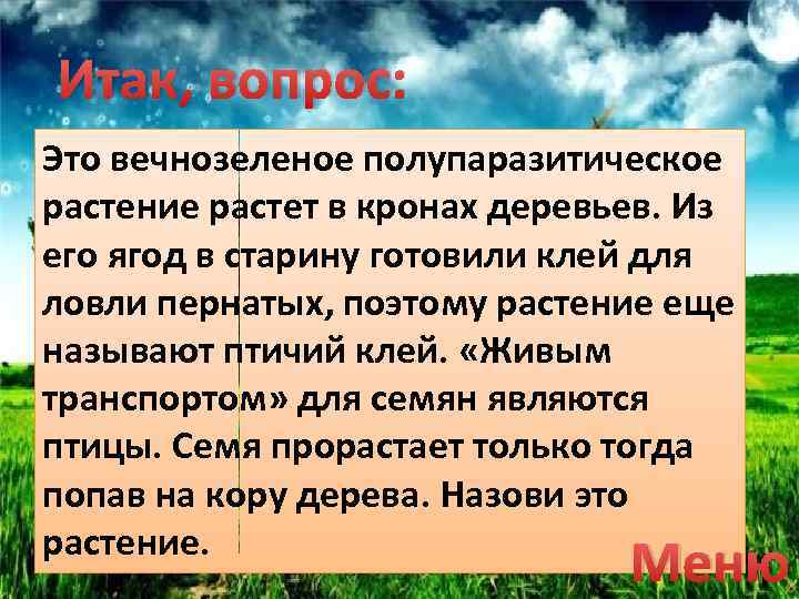 Итак, вопрос: Это вечнозеленое полупаразитическое растение растет в кронах деревьев. Из его ягод в