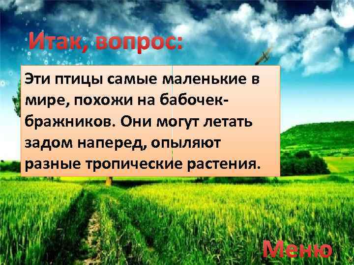 Итак, вопрос: Эти птицы самые маленькие в мире, похожи на бабочекбражников. Они могут летать