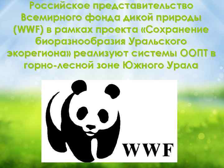 Российское представительство Всемирного фонда дикой природы (WWF) в рамках проекта «Сохранение биоразнообразия Уральского экорегиона»