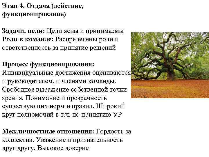 Этап 4. Отдача (действие, функционирование) Задачи, цели: Цели ясны и принимаемы Роли в команде: