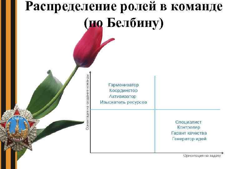 Распределение ролей в команде (по Белбину) 