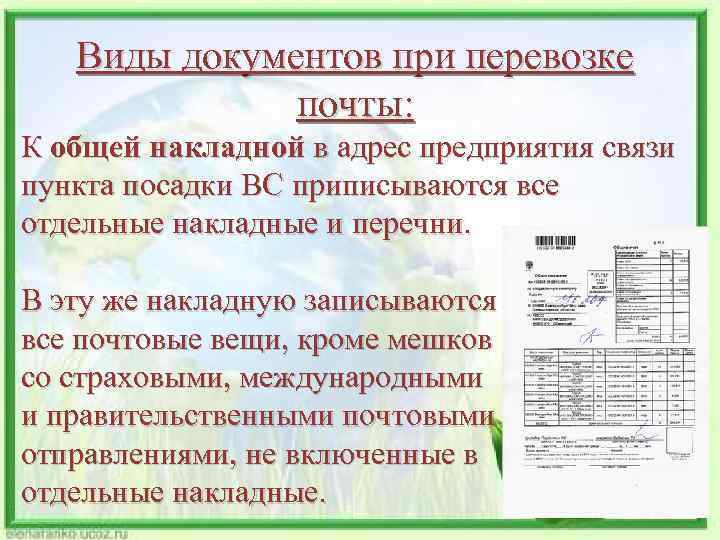 Виды документов при перевозке почты: К общей накладной в адрес предприятия связи пункта посадки