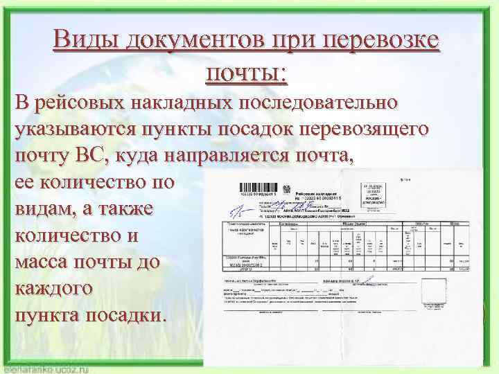 Виды документов при перевозке почты: В рейсовых накладных последовательно указываются пункты посадок перевозящего почту