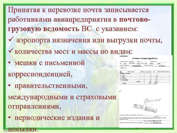 Принятая к перевозке почта записывается работниками авиапредприятия в почтовогрузовую ведомость ВС с указанием: ü