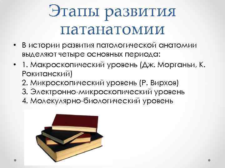 Этапы развития патанатомии • В истории развития патологической анатомии выделяют четыре основных периода: •