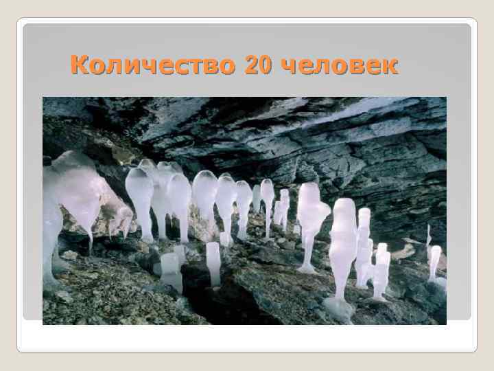 Количество 20 человек 