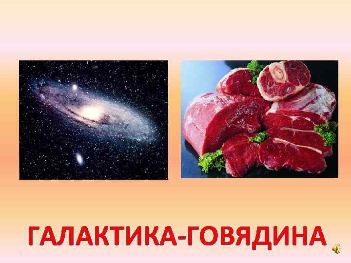 ГАЛАКТИКА-ГОВЯДИНА 