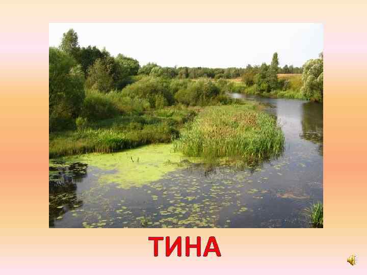 ТИНА 