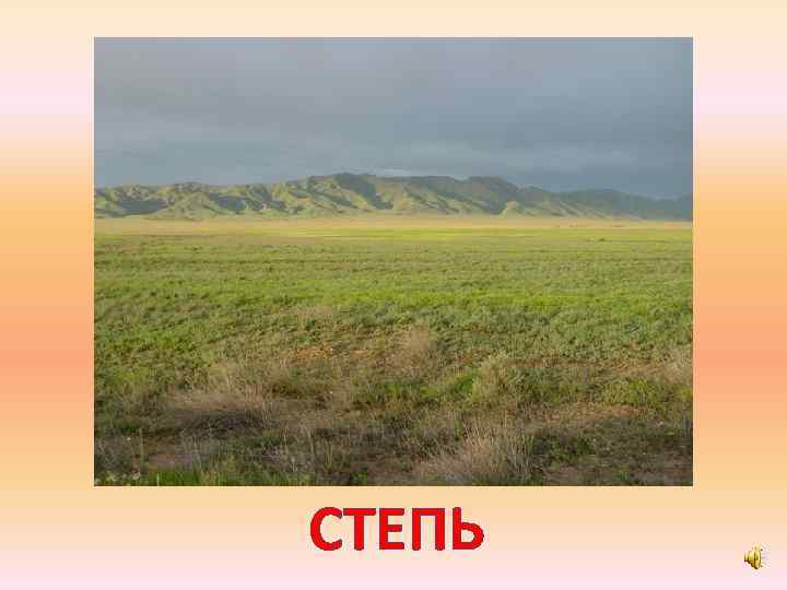 СТЕПЬ 