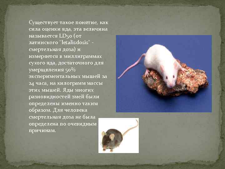 Существует такое понятие, как сила оценки яда, эта величина называется LD 50 (от латинского