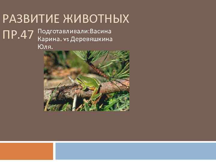 РАЗВИТИЕ ЖИВОТНЫХ Подготавливали: Васина ПР. 47 Карина. vs Деревяшкина Юля. 