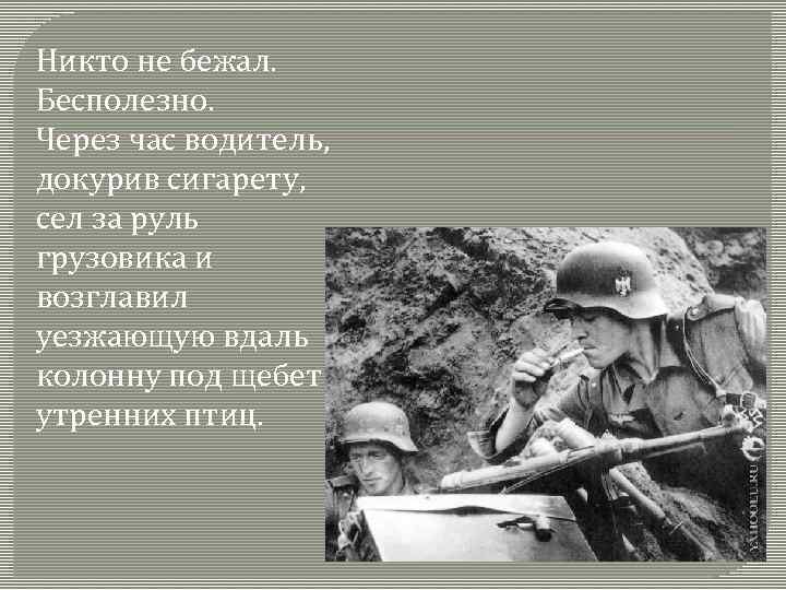 Никто не бежал. Бесполезно. Через час водитель, докурив сигарету, сел за руль грузовика и