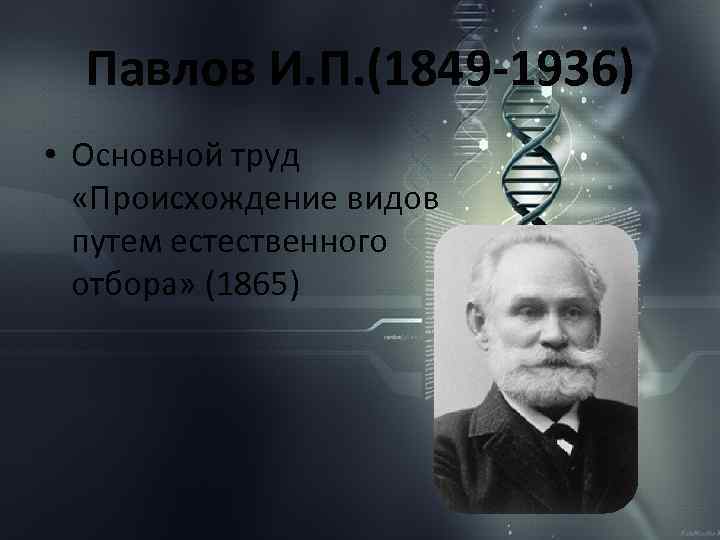 Павлов И. П. (1849 -1936) • Основной труд «Происхождение видов путем естественного отбора» (1865)