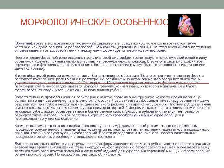  МОРФОЛОГИЧЕСКИЕ ОСОБЕННОСТИ Зона инфаркта в это время носит мозаичный характер, т. е. среди