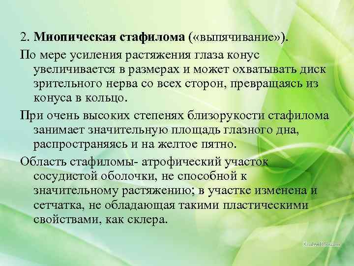2. Миопическая стафилома ( «выпячивание» ). По мере усиления растяжения глаза конус увеличивается в