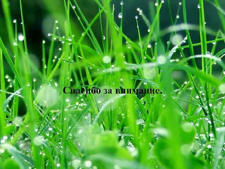Спасибо за внимание. 