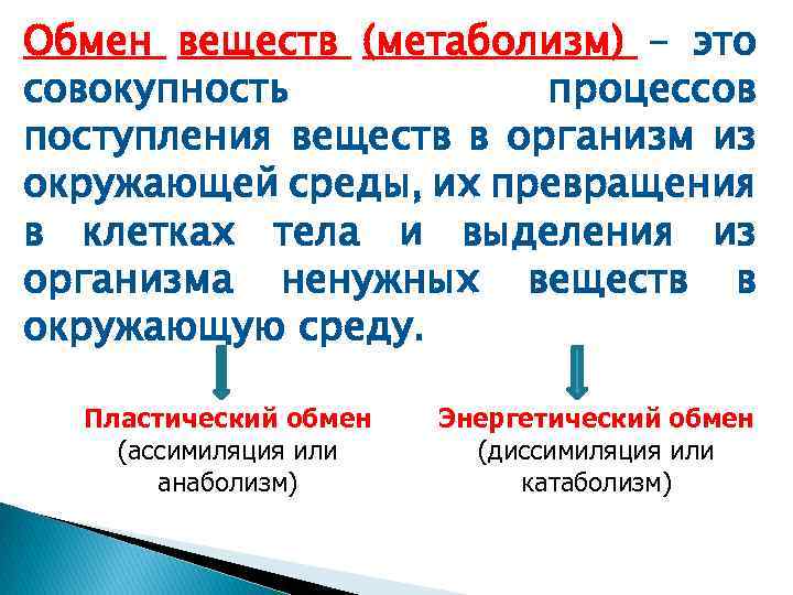 Обмен веществ (метаболизм) – это совокупность процессов поступления веществ в организм из окружающей среды,