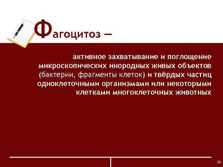 Фагоцитоз ― активное захватывание и поглощение микроскопических инородных живых объектов (бактерии, фрагменты клеток) и