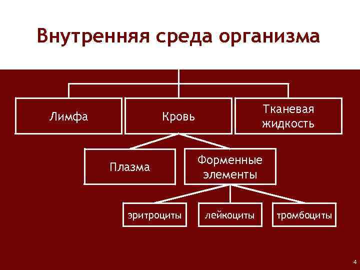 Внутренняя среда организма Лимфа Тканевая жидкость Кровь Плазма эритроциты Форменные элементы лейкоциты тромбоциты 4