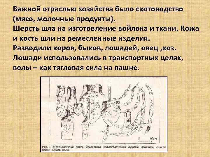 Важной отраслью хозяйства было скотоводство (мясо, молочные продукты). Шерсть шла на изготовление войлока и