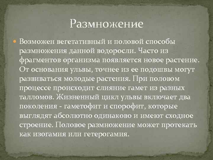 Размножение Возможен вегетативный и половой способы размножения данной водоросли. Часто из фрагментов организма появляется