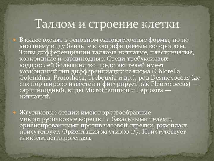 Таллом и строение клетки В класс входят в основном одноклеточные формы, но по внешнему