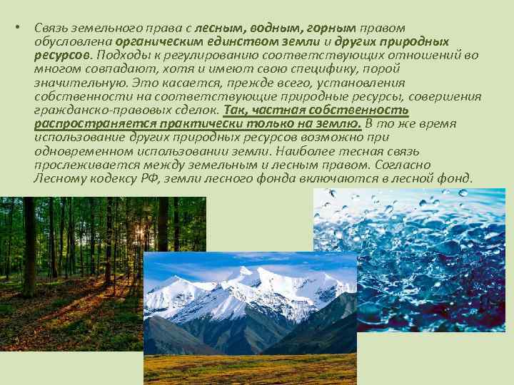  • Связь земельного права с лесным, водным, горным правом обусловлена органическим единством земли