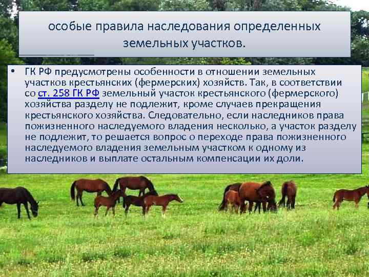 особые правила наследования определенных земельных участков. • ГК РФ предусмотрены особенности в отношении земельных