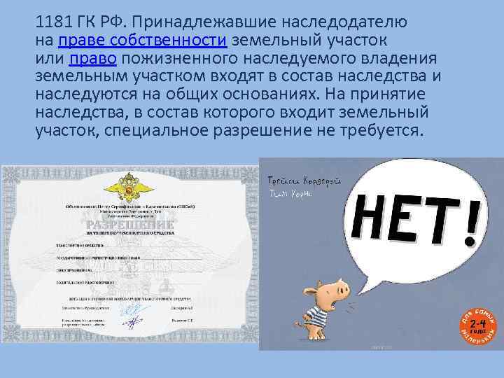 1181 ГК РФ. Принадлежавшие наследодателю на праве собственности земельный участок или право пожизненного наследуемого