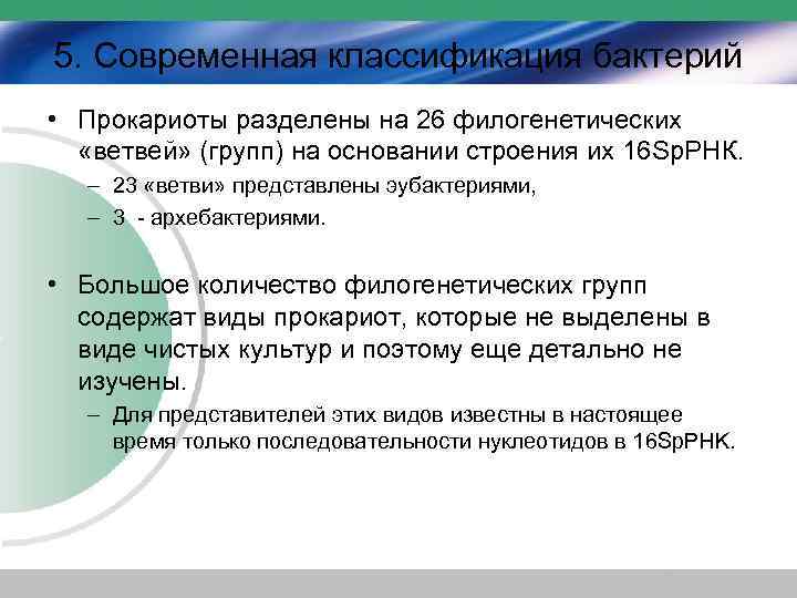 5. Современная классификация бактерий • Прокариоты разделены на 26 филогенетических «ветвей» (групп) на основании