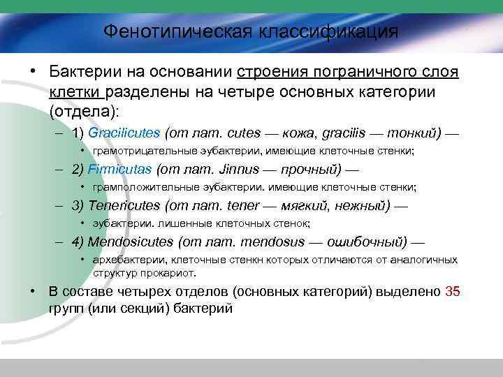 Фенотипическая классификация • Бактерии на основании строения пограничного слоя клетки разделены на четыре основных