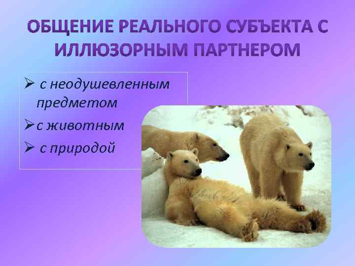 Ø с неодушевленным предметом Ø с животным Ø с природой 