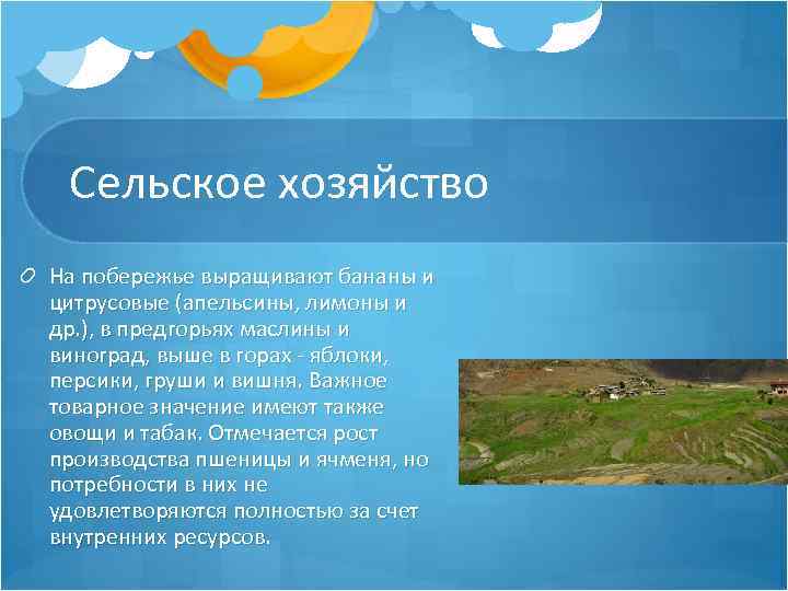 Сельское хозяйство На побережье выращивают бананы и цитрусовые (апельсины, лимоны и др. ), в