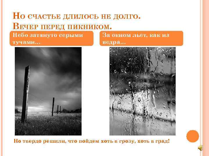 НО СЧАСТЬЕ ДЛИЛОСЬ НЕ ДОЛГО. ВЕЧЕР ПЕРЕД ПИКНИКОМ. Небо затянуто серыми тучами… За окном