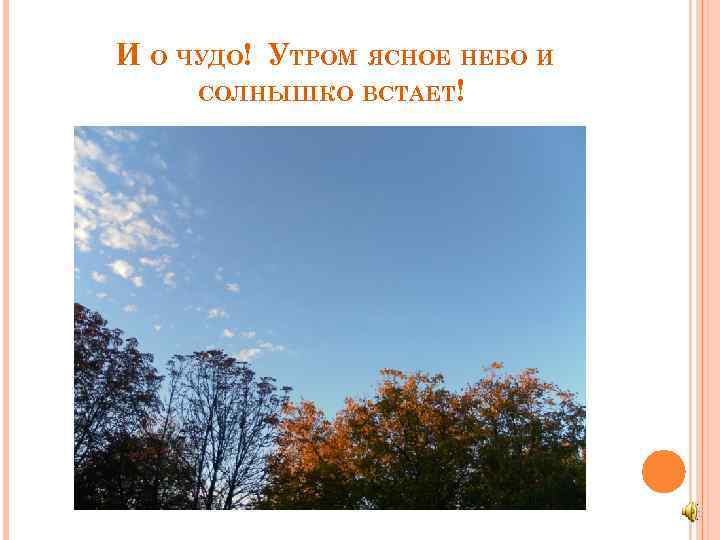 И О ЧУДО! УТРОМ ЯСНОЕ НЕБО И СОЛНЫШКО ВСТАЕТ! 