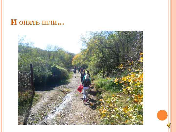 И ОПЯТЬ ШЛИ… 